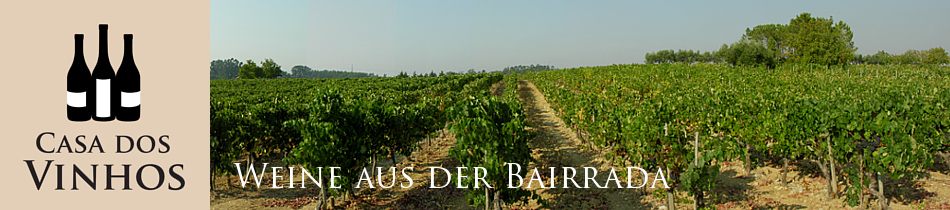 Weine aus dem Bairrada: Wein der Bairrada ist ebenso wie die Weine des Dao sehr lagerfähig. Die Baga Traube, die in dieser Region in Portugal ihren Ursprung hat und hier die perfekten Bedingungen findet, wird hier für die meisten Rotweine verwendet. Sie gibt den Weinen einen einzigartigen Character.