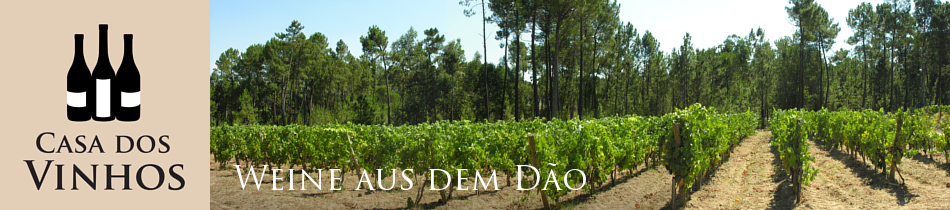 Weine aus dem Dao: Die Region Dao ist eine der traditionsreichsten Weinregionen in Portugal. Hier entsteht Wein der extrem lagerfähig ist und von Weinkennern aufgrund seine Finesse und Essensfreundlichkeit sehr geschätzt wird. In Deutschland war es früher einer der wenigen Weine aus Portugal die man bekommen konnte